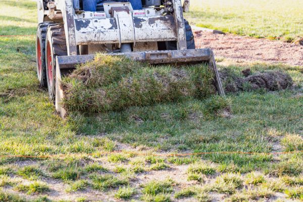 Cost of Landscape Leveling in Clifton Park