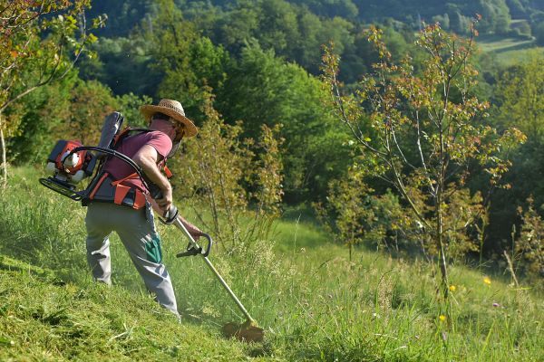 Cost of Slope Trimming in Clifton Park